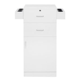 15 cm P2 density board pitted surface 2 drawers 1 door 6 hair dryer double ear cabinet with lock Salon cabinet white