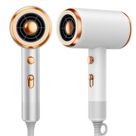 Professional Hair Dryer 1800W Powerful Ionic Hairdryer With Diffuser Blow Dryer With 2 Speeds; 3 Heating And Cool Button For Women Man Home Travel Sal (Color: White)