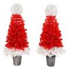 Lighted Santa Hat Style Christmas Tree Set of 2, 4ft Artificial Tree with Warm White Lights, Christmas Tree for Decoration Inside and Outside